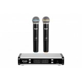 Радиосистема DV audio PGX-224 Dual сдвоенная